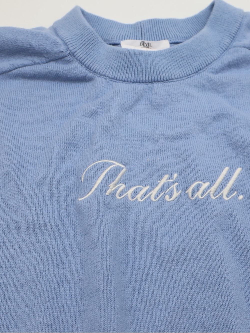 Women's Light Blue Crewneck Sweater with 'That's all.' Embroidery